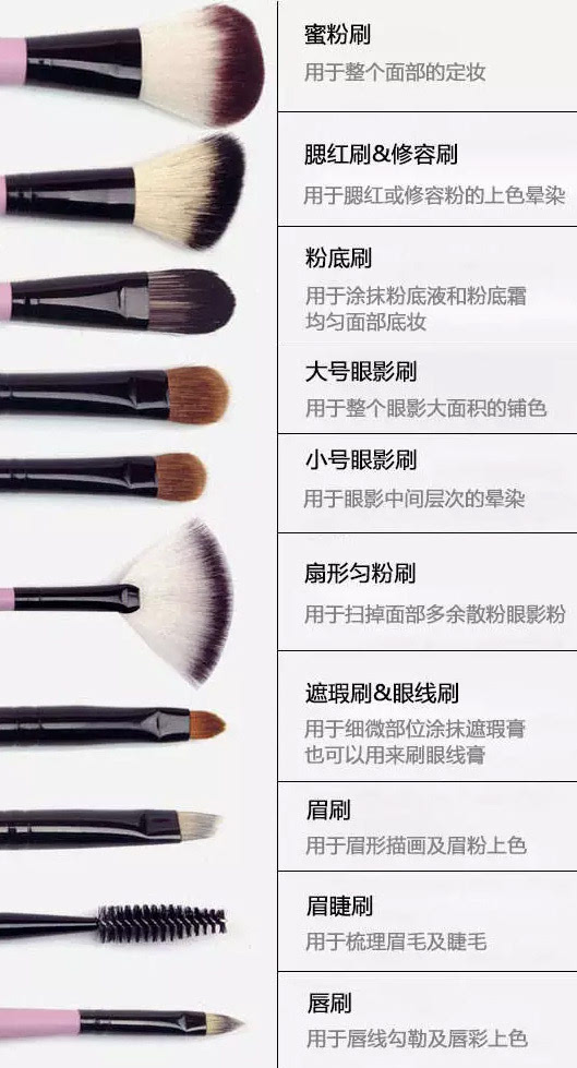 黄色视频一区在线名稱大全